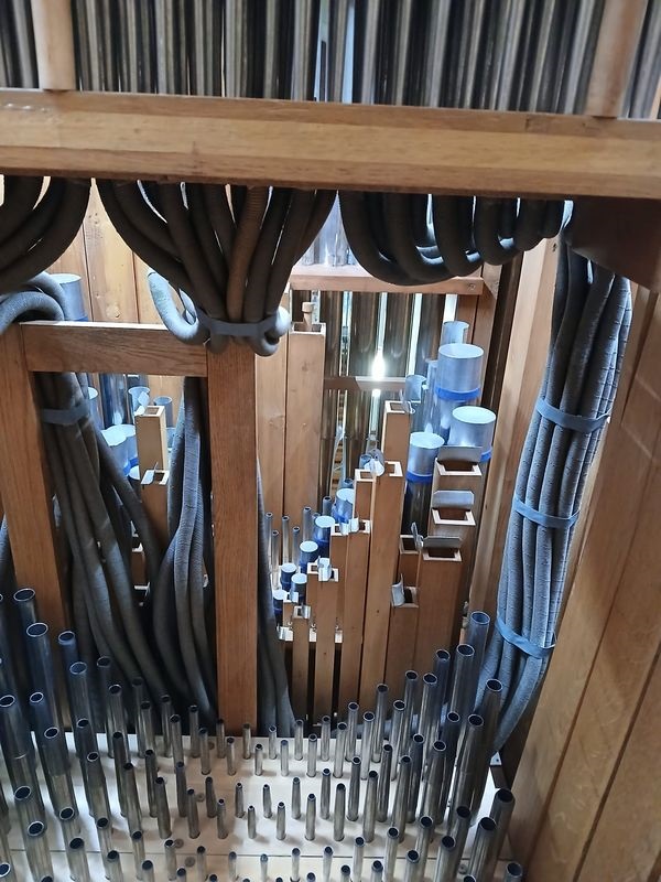 Blick in eine Orgel mit Orgelpfeifen